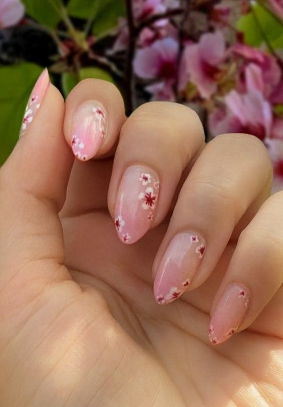 Cherry Blossom