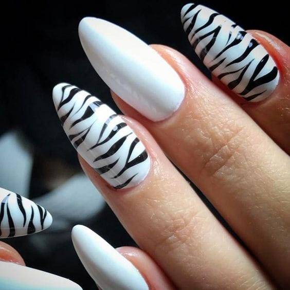 Wild Zebra nails designs